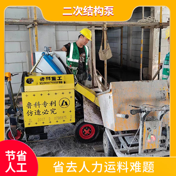 小型室內(nèi)二次結(jié)構(gòu)輸送泵 小型室內(nèi)二次結(jié)構(gòu)輸送泵